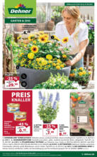 Dehner: Garten & Zoo