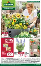 Dehner: Garten & Zoo