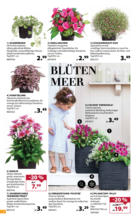 Dehner: Garten & Zoo