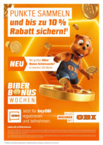 OBI OBI: Biberstarke Angebote - bis 15.06.2025