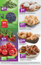 Najlepsze oferty dla oszczędnych Stokrotka – do 04.06.2025