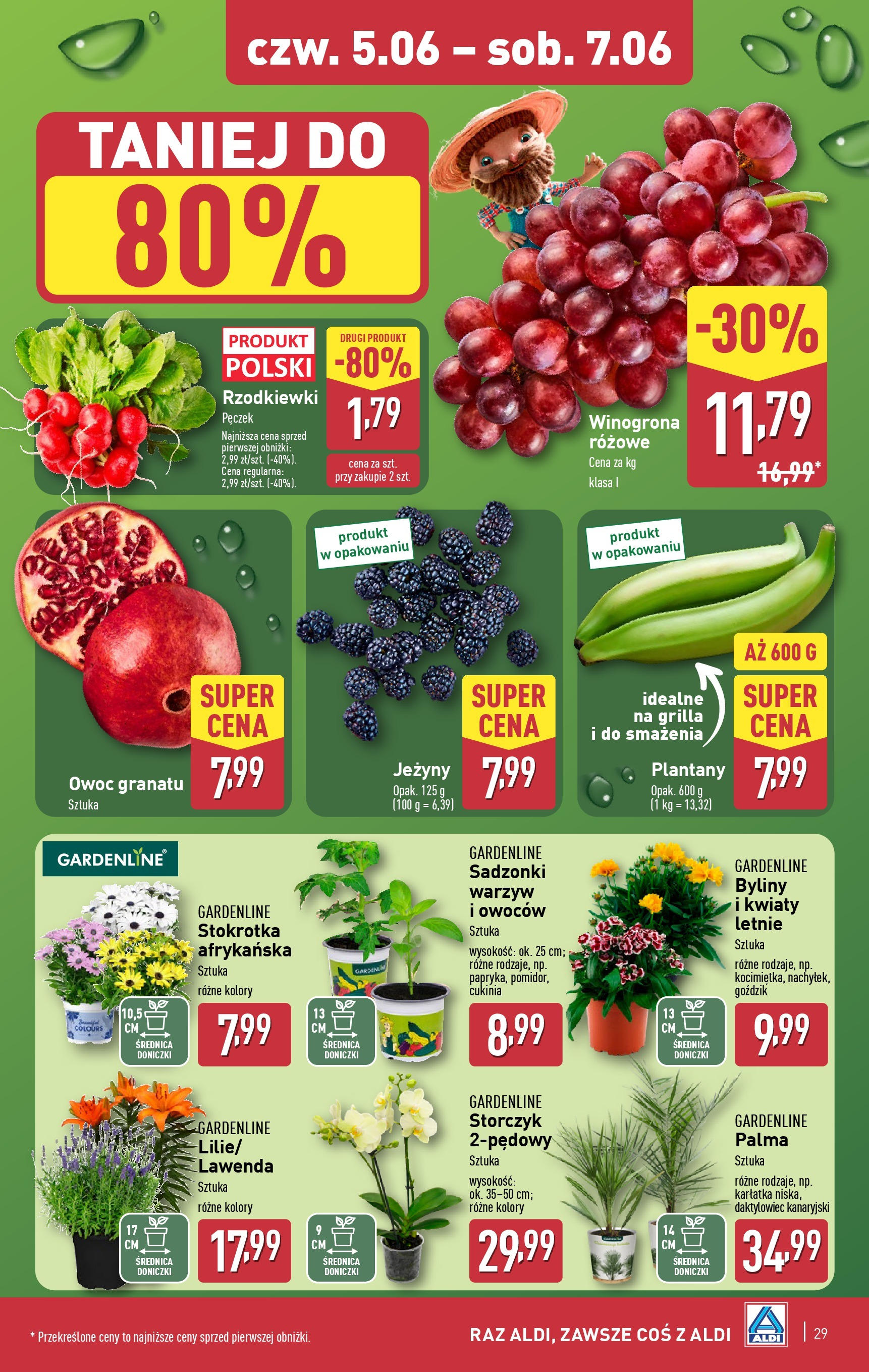 Aldi Gazetka od 02.06.2025 - Ulotka PDF, promocje | Strona: 29 | Produkty: Winogrona, Goździk, Jeżyny, Doniczki