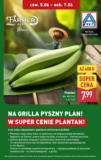 Aldi Plantan od Czwartku ważne do 7.06