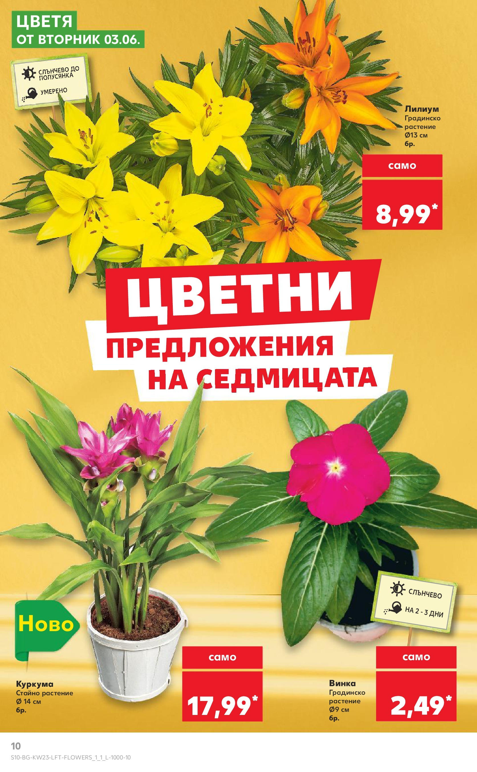 Нова Кауфланд брошура от 02.06.2025 - Седмична брошура Враца №23 на Кауфланд | Страница: 10