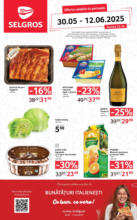Catalog Selgros până în data de 12.06.2025