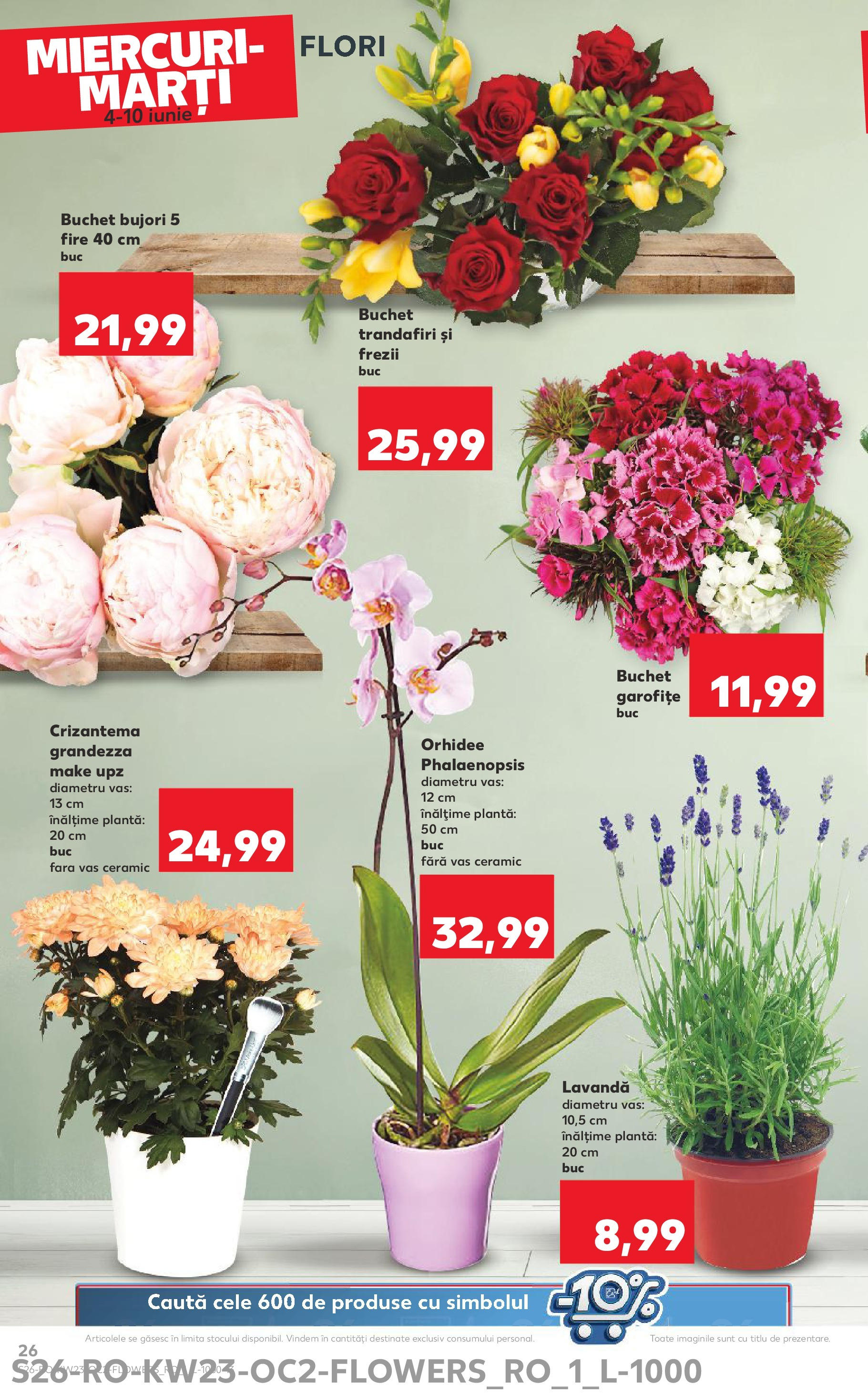 Catalog Kaufland - Bucureşti 04.06.2025 - Revista si Oferta | Pagină: 26 | Produse: Orhidee
