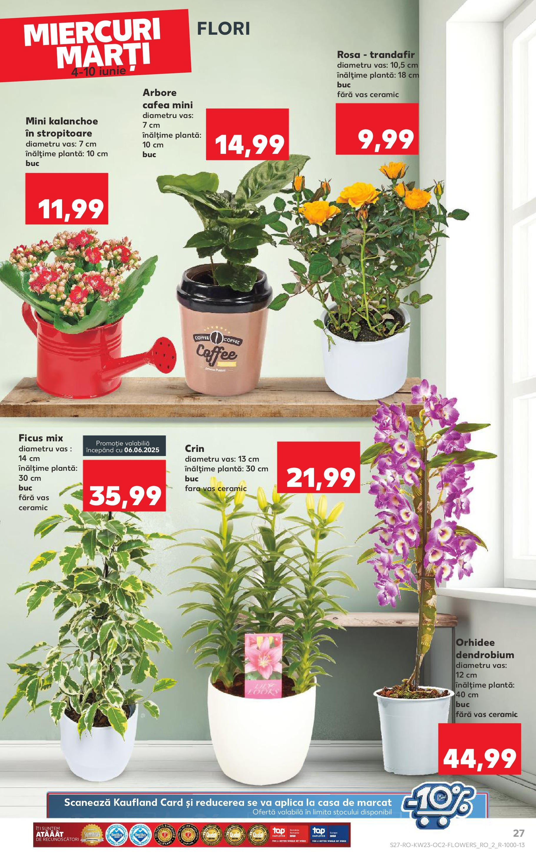 Catalog Kaufland - Bucureşti 04.06.2025 - Revista si Oferta | Pagină: 27 | Produse: Trandafir, Orhidee, Cafea