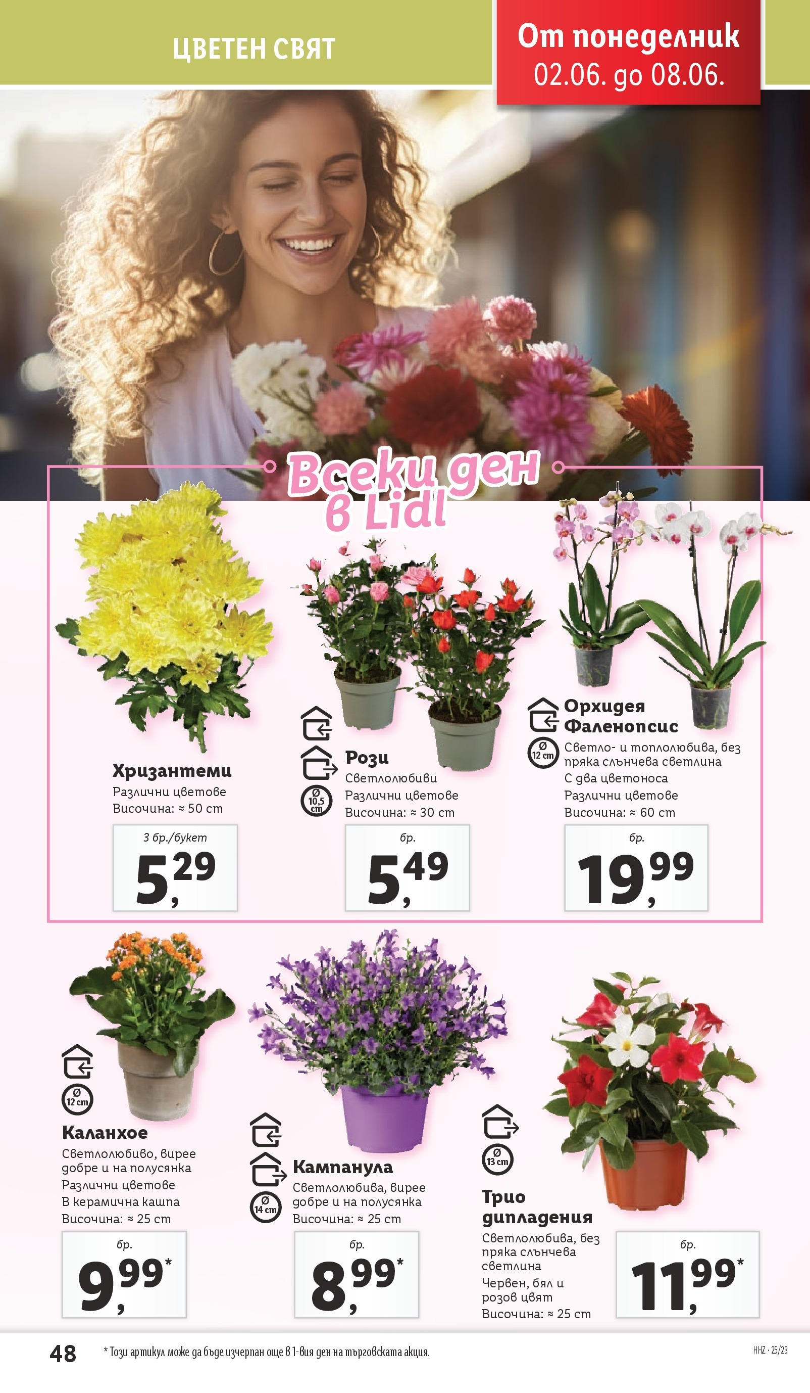 Лидл брошура от 02.06.2025 - LIDL broshura "Cедмична брошура на Лидл" | Страница: 48 | Продукти: Кашпа, Орхидея