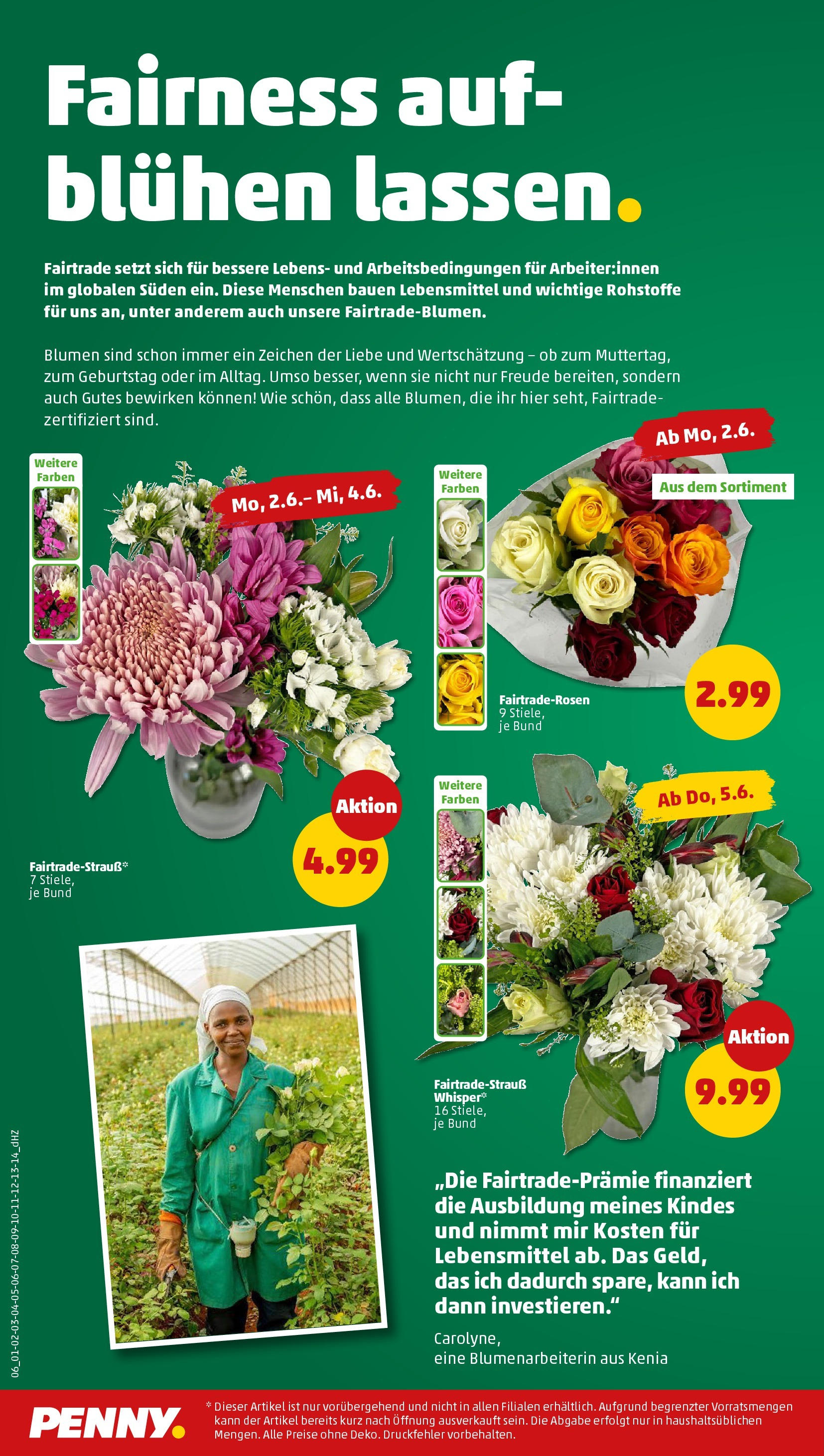 Penny - Penny: Wochenangebote (ab 01.06.2025) » Angebote Online | Seite: 8 | Produkte: Blumen