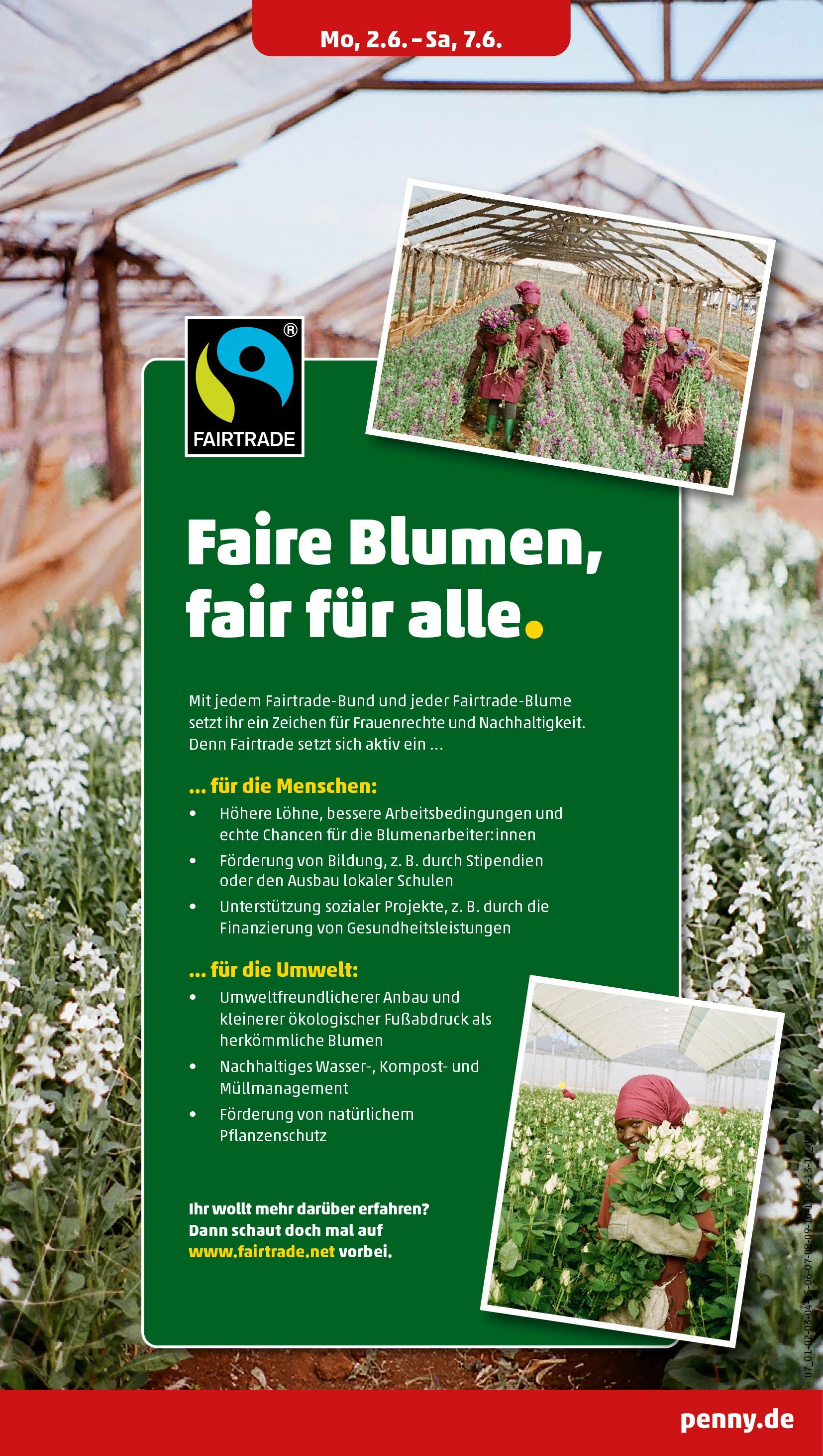 Penny - Penny: Wochenangebote (ab 01.06.2025) » Angebote Online | Seite: 9 | Produkte: Blumen
