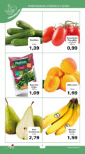 Offerte valide dal 31 maggio al 11 giugno