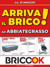 Arriva il brico!