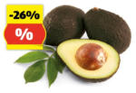 ADEG aktiv Markt Weiss HOFER MARKTPLATZ Avocados, 500 g