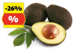 HOFER MARKTPLATZ Avocados, 500 g