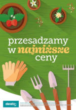Dealz przesadzamy