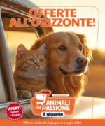 Il Gigante Offerte all’orizzonte - al 06.07.2025