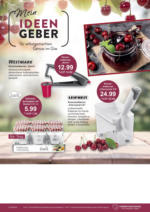 Kaufhaus Behrends GmbH & Co. KG Kaufhaus Behrends - Mein Ideengeber - bis 11.06.2025