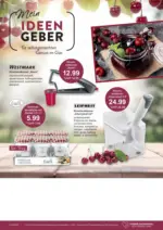 Kaufhaus Behrends GmbH & Co. KG Kaufhaus Behrends - Mein Ideengeber - bis 11.06.2025