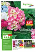 Gartencenter Augsburg Gartencenter Augsburg: Wochenangebote - bis 08.06.2025