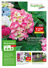 Gartencenter Augsburg: Wochenangebote