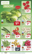 Unsere Combi Wochenangebote