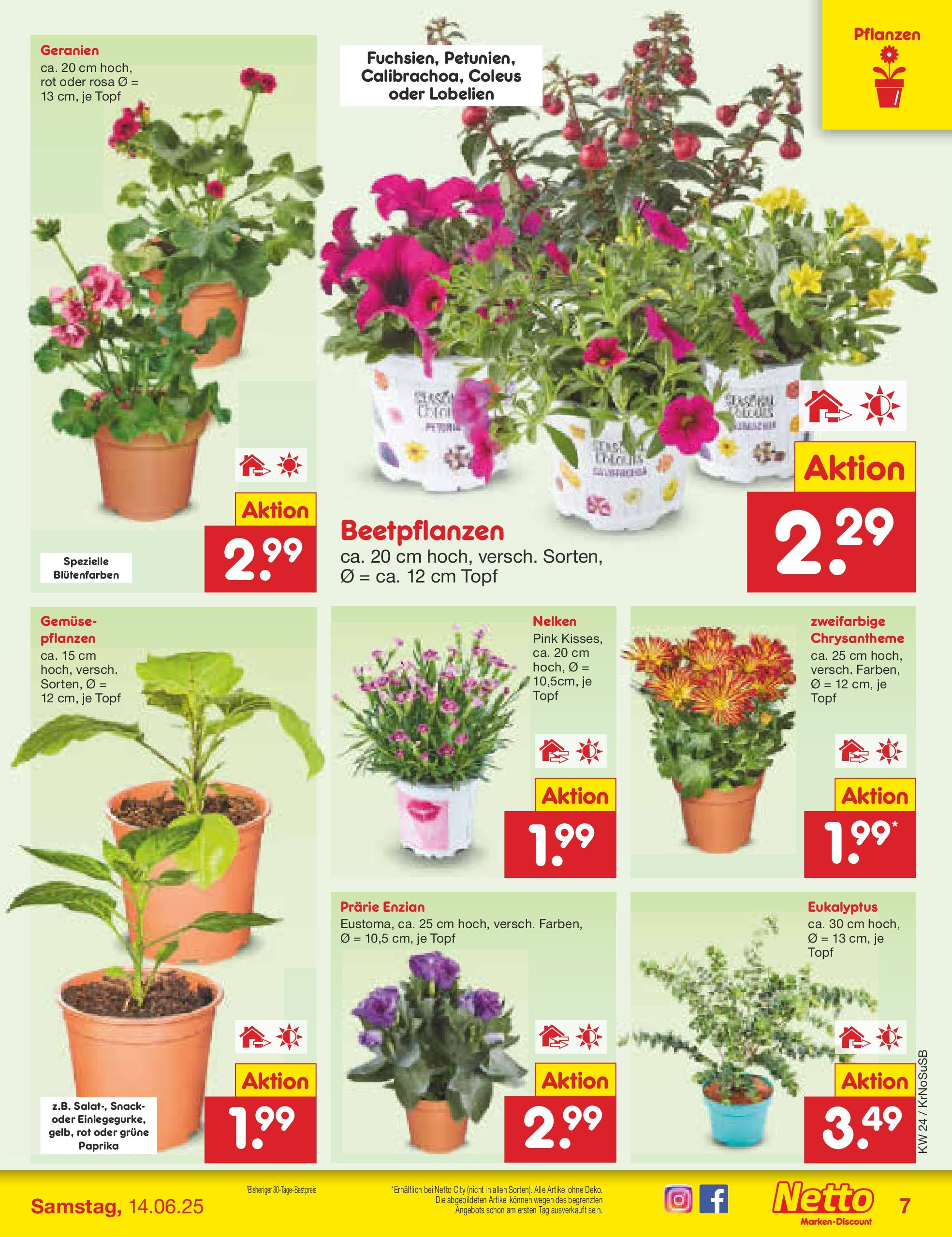 Netto Marken-Discount prospekt Duisburg (ab 10.06.2025) » Angebote | Seite: 7 Netto Marken-Discount prospekt Duisburg (ab 10.06.2025) » Angebote | Seite: 7