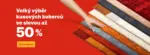 Koberce Trend Červnový výběr kusových koberců se slevou až 50 % – do 30.06.2025