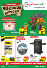 Hagebaumarkt Brake - So günstig geht das!