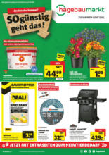 Hagebaumarkt Brake - So günstig geht das!