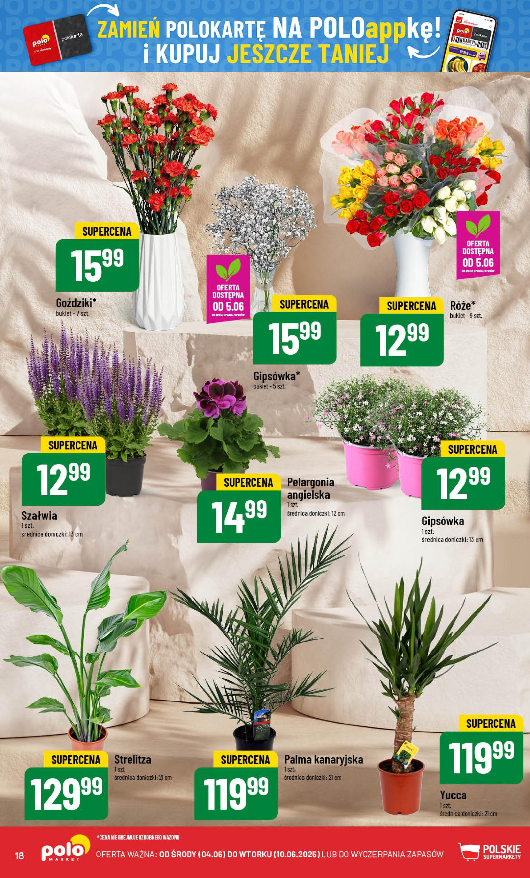 POLOmarket gazetka od jutra (04.06.2025) - Nowa PDF | Strona: 18 | Produkty: Doniczki