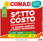 Conad Sotto costo - al 17.06.2025