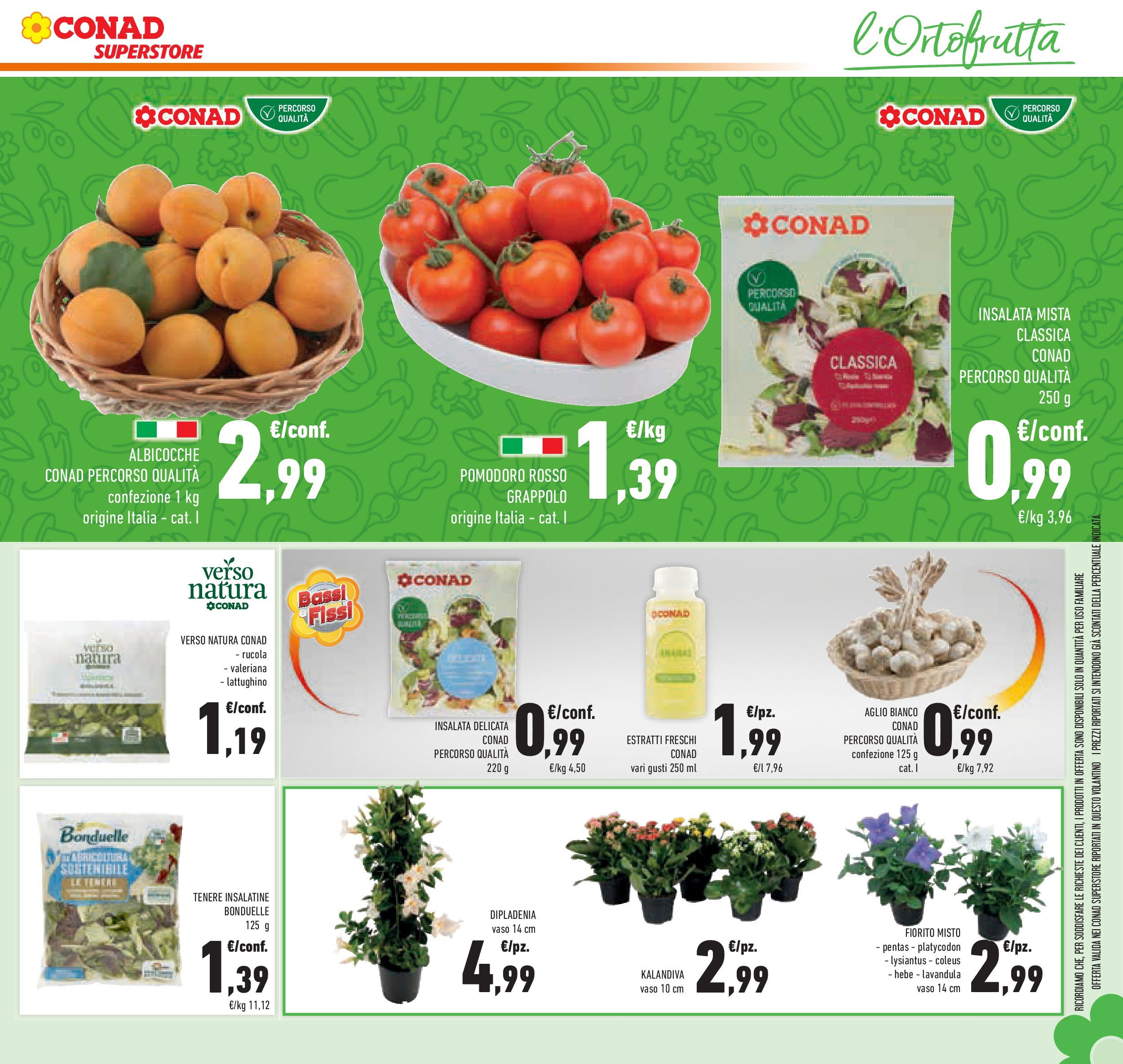 Volantino Conad dal 04/06/2025 > Anteprima - Giugno | Pagina: 13 | Prodotti: Valeriana, Pomodoro, Albicocche, Vaso