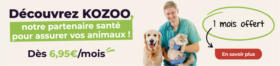 Kozoo, l’assurance santé animale vraiment humaine