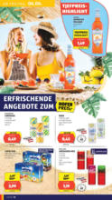 HOFER HOFER: Flugblatt - ab 06.06.2025