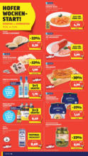 HOFER HOFER: Flugblatt - ab 06.06.2025
