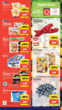 HOFER HOFER: Flugblatt - ab 06.06.2025