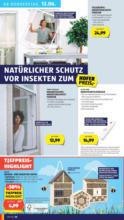 HOFER HOFER: Flugblatt - ab 06.06.2025