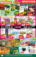 Catalogue Norma