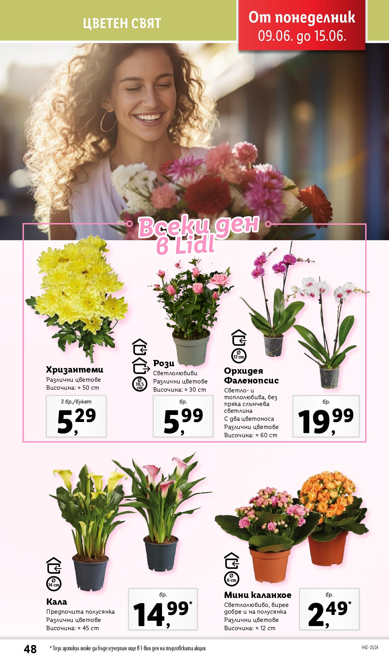 Лидл брошура от 09.06.2025 - LIDL broshura "Cедмична брошура на Лидл" | Страница: 48 | Продукти: Орхидея Лидл брошура от 09.06.2025 - LIDL broshura "Cедмична брошура на Лидл" | Страница: 48 | Продукти: Орхидея