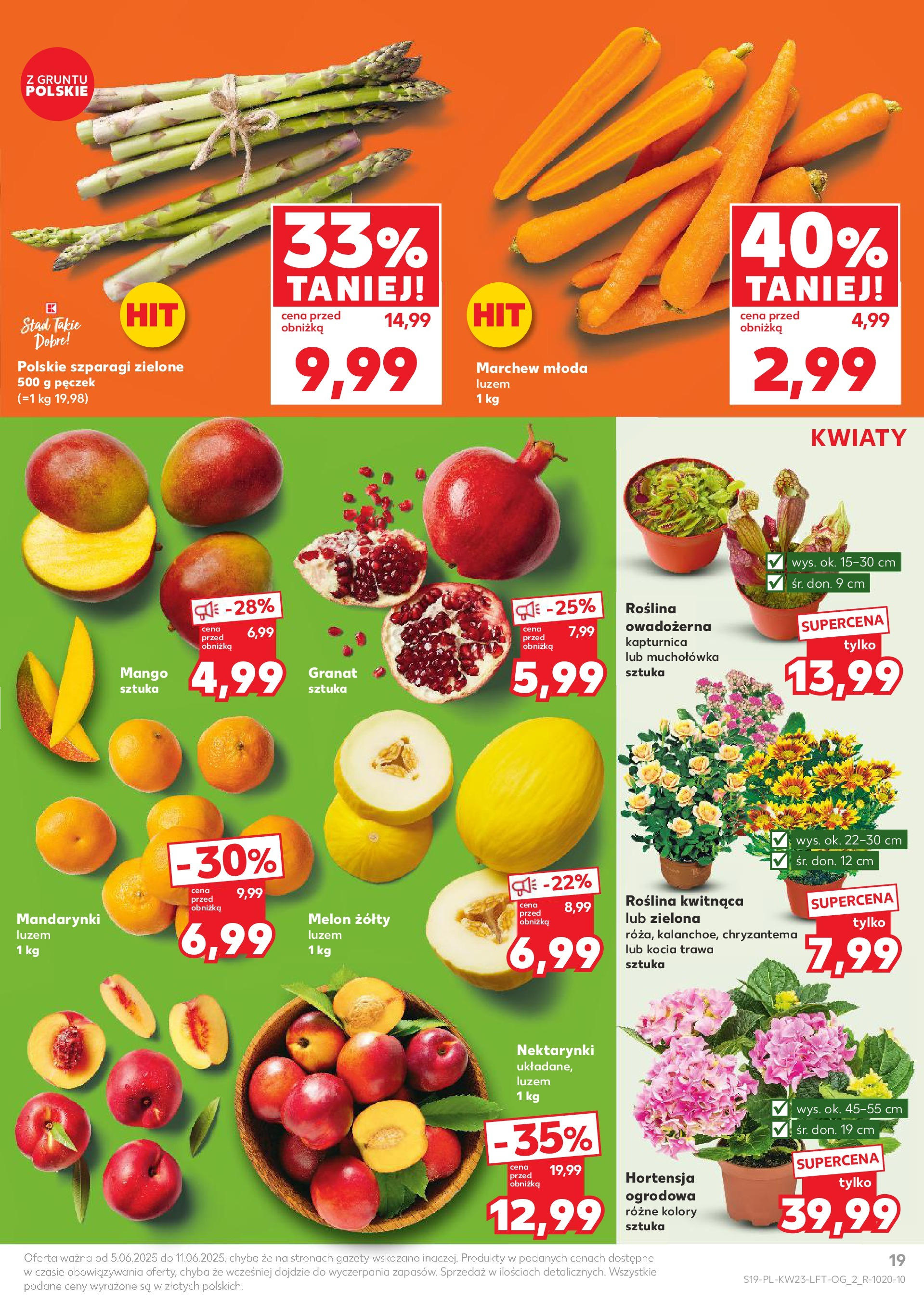 Kaufland gazetka od 05.06.2025 - od jutra PDF | Strona: 19 | Produkty: Melon, Szparagi, Muchołówka, Mandarynki