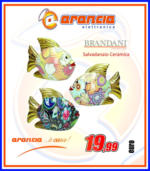 Arancia Elettronica Brandani - al 30.06.2025