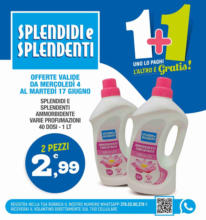 Volantino Splendidi e Splendenti