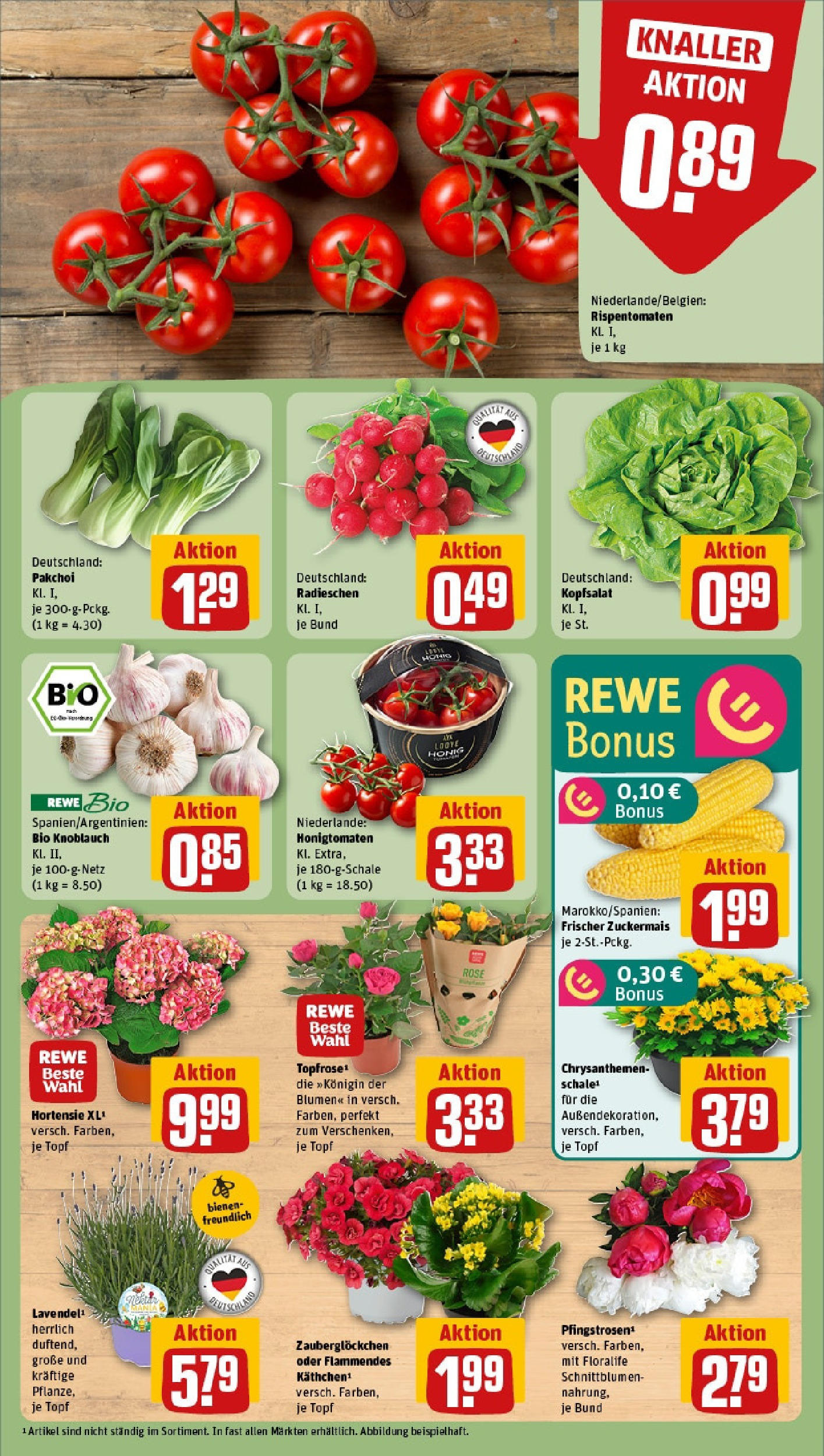 Rewe prospekt Berlin / Mitte	 (ab 08.06.2025) zum Blättern » Angebote | Seite: 7 | Produkte: Hortensie, Blumen, Knoblauch