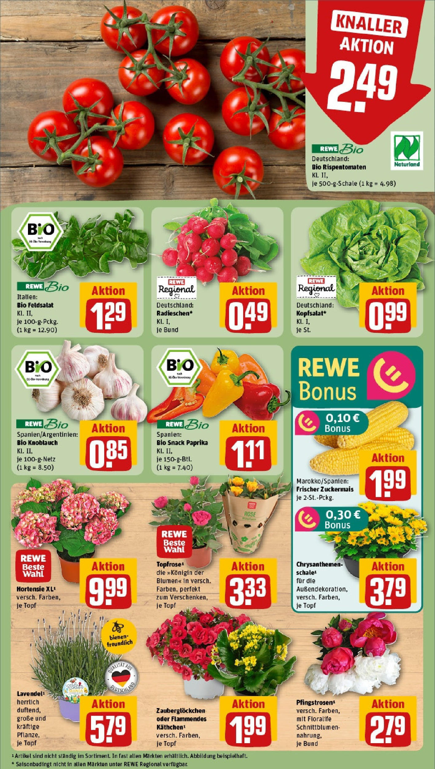 Rewe prospekt Hamburg/Rahlstedt	 (ab 08.06.2025) zum Blättern » Angebote | Seite: 7 | Produkte: Hortensie, Blumen, Paprika, Knoblauch