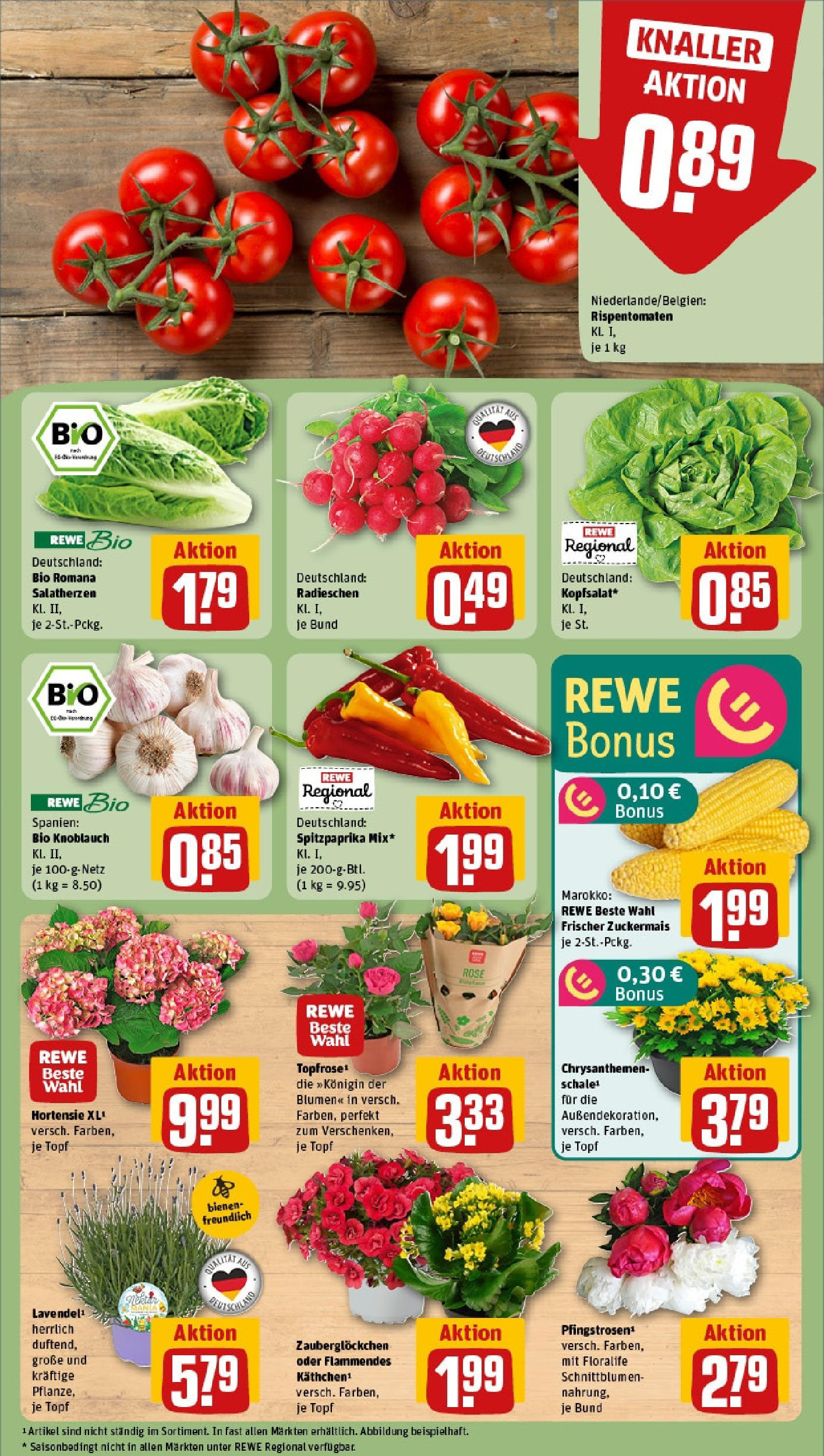 Rewe prospekt Mönchengladbach	 (ab 08.06.2025) zum Blättern » Angebote | Seite: 7 | Produkte: Hortensie, Blumen, Knoblauch