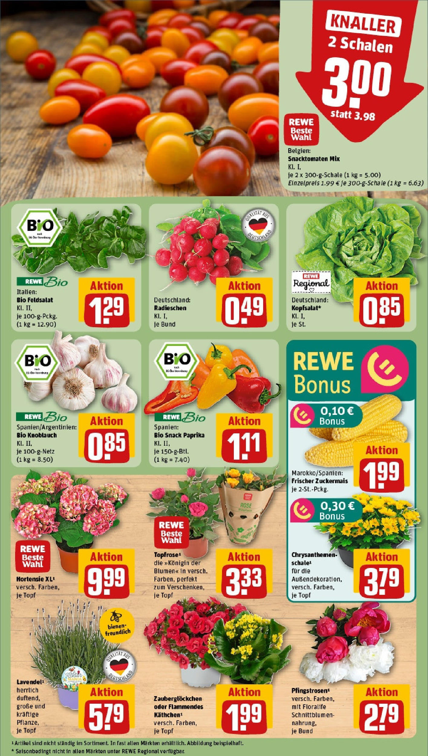 REWE Prospekt ab 08.06.2025 zum Blättern » Angebote | Seite: 7 | Produkte: Hortensie, Blumen, Paprika, Knoblauch