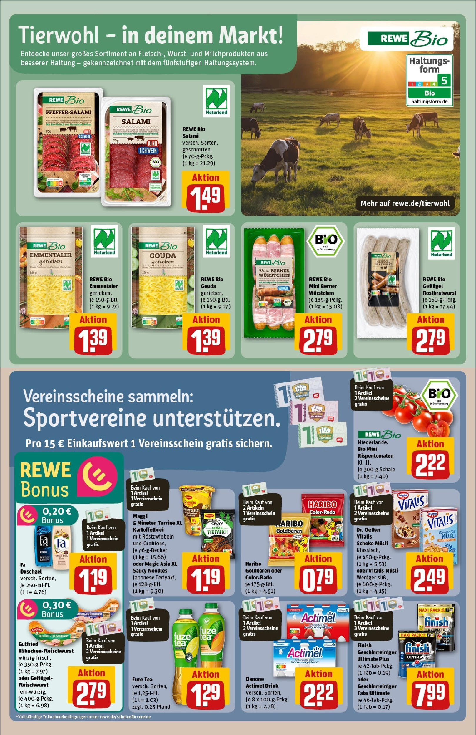 REWE Prospekt ab 08.06.2025 zum Blättern » Angebote | Seite: 19 | Produkte: Maggi, Gouda, Fa duschgel, Duschgel