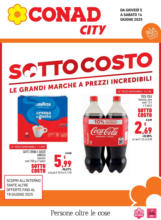 Sottocosto