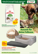 Fressnapf Fressnapf Angebote 18.06. bis 21.06. - ab 18.06.2025