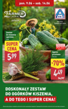 Aldi Zestaw do kiszenia ważne do 14.06 Aldi – do 14.06.2025